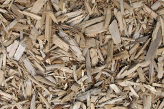 biomass boilers Roud
